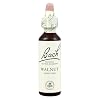Bach Original Flower Remedies Walnut Juglans Regia, 20ml Dropper