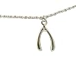 Lucky Feather "Enchantments" Silver Plated Wishbone Inspirational Necklace
