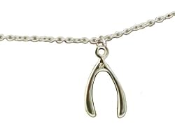 Lucky Feather "Enchantments" Silver Plated Wishbone Inspirational Necklace