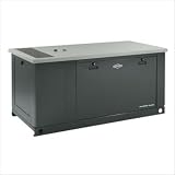 45kW Liquid Cooled Standby Generator in Propane or Natural Gas Fuel Type: Natural Gas
