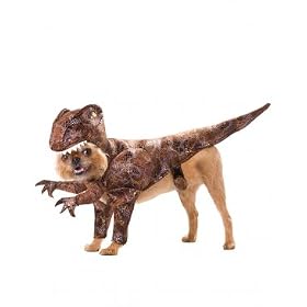 Animal Planet Halloween Dog Pet Costume Raptor Medium