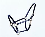 Halter Economy 3/4 Inch