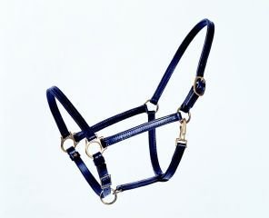 Halter Economy 3/4 Inch