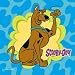 Scooby Doo Party Napkins (16 Pack) 9512400