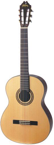Washburn Classical Series Acoustic Guitar On Sale