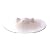 �O�b�`�T�O�̃R�u�^�̗��Ƃ��Ԃ� 13.5cm�@(�z���C�g)