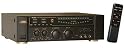 KARAOKE 180W Professional Karaoke Mixing Amp