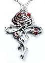 Rosycroix Silver-Tone Pewter Gothic Druid Immortality Rose Pendant Necklace