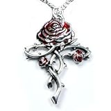 Rosycroix Silver-Tone Pewter Gothic Druid Immortality Rose Pendant Necklace