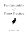 Fundamentals of Piano Practice