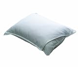 Aller-Ease Allergen Barrier Pillow with Washable Bonus Cotton Cover, Standard