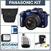 Panasonic Lumix DMC-G2A Micro System Digital SLR Camera - Blue - with 14mm - 42mm f/3.5-f/5.6 Lens, 8GB SD Memory Card, Camera Case, USB 2.0 SD Card Reader, Spare BLB13 Lithium Ion Type Battery. Professional Lens Cleaning Kit,