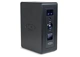 LaCie 301815 750GB LaCinema Premier USB 2.0 Multimedia Hard Disk (Black)