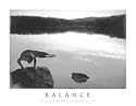 Balance -Motivational Yoga Poster- 8''x10''