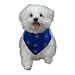 Chicago Cubs Dog Bandanna