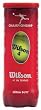 Wilson Yellow Championship Extra Duty Tennis Balls
