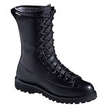 Men's Danner� Elite Series Fort Lewis 10 Boots Black by Danner