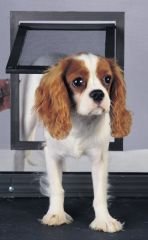 Radio Systems Pet Screen Door - P1-ZB-11