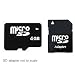 4GB 4 GB Gig MicroSD SD SDHC Memory Card (with SD Adapter) for LG Mobile Phone AX380 AX585 AX830 / BlackBerry 8100 9500 8310 Curve/Pearl/Storm / Samsung ST500 ST550 TL220 TL225 A657 A736 A737 A767 / NOKIA E52/E55/6720 Classic - by First Champion
