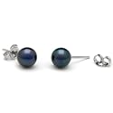 Pair of 6.5-7.0 mm, AA+ Quality, Black Akoya Pearl Stud Earrings