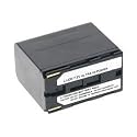 Akku (Li-Ion) f&uuml;r Canon XH A1, XH G1, XL1, XL1S, XL2, XL2 Body Kit, XL H1, XM1, XM2, XV1, XV2 als Ersatz f&uuml;r BP-950G