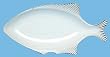 White Fish Ceramic Pottery Tuna Medium Platter 15"x 7 1/2"x 1 3/4"