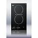 Two Burner Electric Cooktop in Black Voltage: 110V