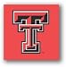 Texas Tech Red Raiders Seat Cushion/Tote - NCAA