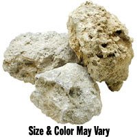 Carib Sea Aquascaping Reef Rock 50 lb - Buy Carib Sea Aquascaping Reef Rock 50 lb - Purchase Carib Sea Aquascaping Reef Rock 50 lb (Carib Sea Inc., Home & Garden, Categories, Pet Supplies, Fish & Aquatic Pets, Aquarium Accessories, Decor, Decorative Gravel)