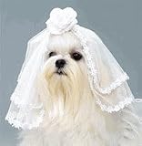 Classic Wedding Veil (Size X-Large)