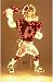 NFL Animated Lawn Figure - Washington Redskins