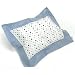 Baby : Babylicious Baby Pillow And Case - Blue