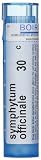 Symphytum Officinale 30C - 80 - Pellet