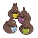 12 ct - Chocolate Easter Bunny Rubber Duckies