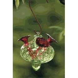 Bird Brain Model 6931 Charisma Hummingbird Feeder, Lime Green by 