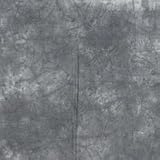 10 x 12 Blue Fossil Background