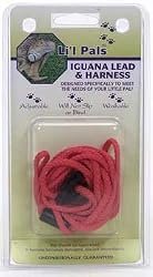 C NYL IGUANA HARNESS&LEAD RED