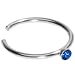 20 Gauge Stainless Steel Blue Gem Nose Hoop