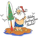 Santa Surfer Adult Sweatshirt