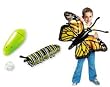 INFLATABLE BUTTERFLY LIFE CYCLE