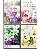 Easter Joy - Scripture Greeting Cards - KJV - Boxed - Easter