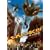 �}�b�N�X!!!���l������ [DVD]