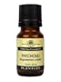 Patchouli 100% Pure Essential Oil - 10 ml