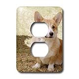 Dogs Corgi - Pembroke Welsh Corgi - Light Switch Covers - 2 plug outlet cover