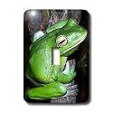 Frogs - Tree Frog - Light Switch Covers - single toggle switch