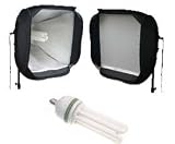 RPS Studio 2 CL Lamphead Kit with Stands