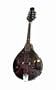 Santa Rosa Electric Mandolin