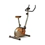 Marcy PL-43211 Upright Mag Cycle