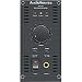 100-Watt Monoblock Power Amp