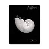 anne geddes photofolio black  white